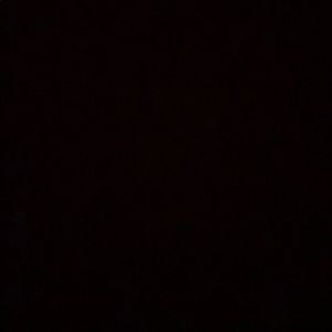 Meet your Posher, Bruno